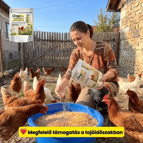 Több tojás és erősebb tojáshéj!